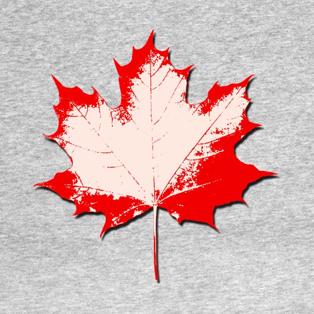 Maple Leaf Stamp light by Valkyrie's Designs